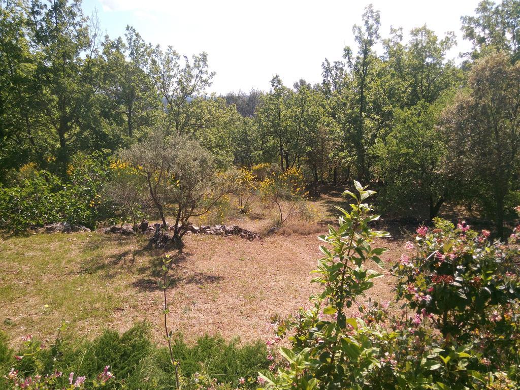 Gite Les Oliviers Cotignac Buitenkant foto