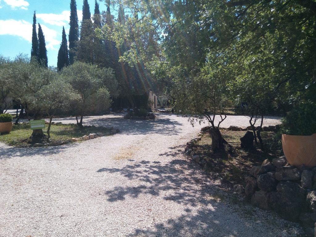 Gite Les Oliviers Cotignac Buitenkant foto